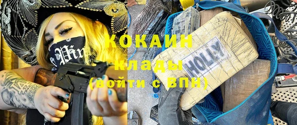 кокс Алексин