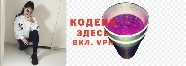 кокс Алексин