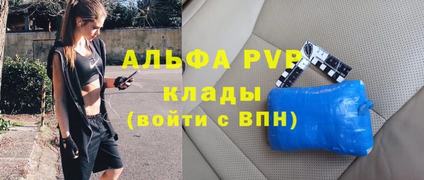 PSILOCYBIN Приозерск