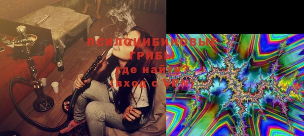кокс Алексин
