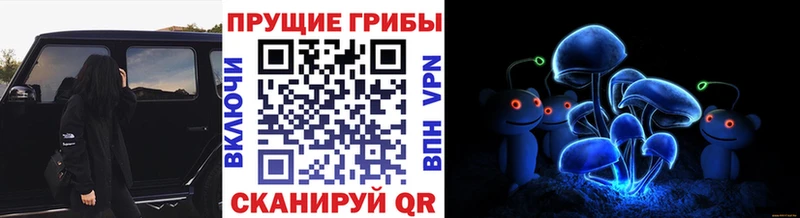 Галлюциногенные грибы мухоморы  Бологое 